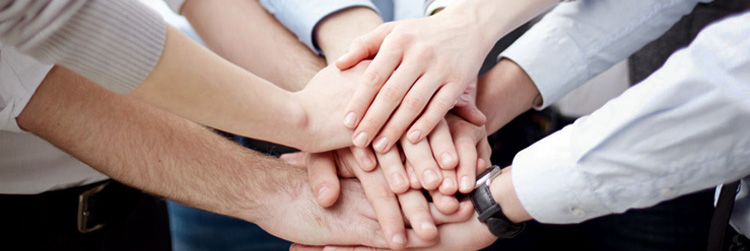 201512231033044198.jpg 201512231033044198.jpg